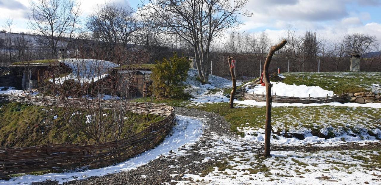 Valea Celor Doisprezece Hotel Piriu Dobreni Екстериор снимка